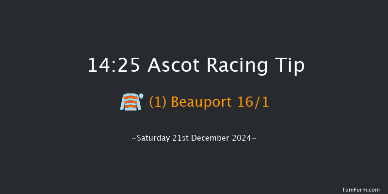 Ascot  14:25 Conditions Hurdle (Class 1) 24f Fri 20th Dec 2024