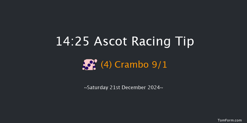 Ascot  14:25 Conditions Hurdle (Class 1) 24f Fri 20th Dec 2024