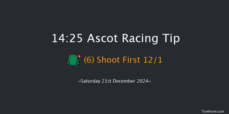 Ascot  14:25 Conditions Hurdle (Class 1) 24f Fri 20th Dec 2024