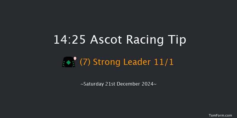 Ascot  14:25 Conditions Hurdle (Class 1) 24f Fri 20th Dec 2024