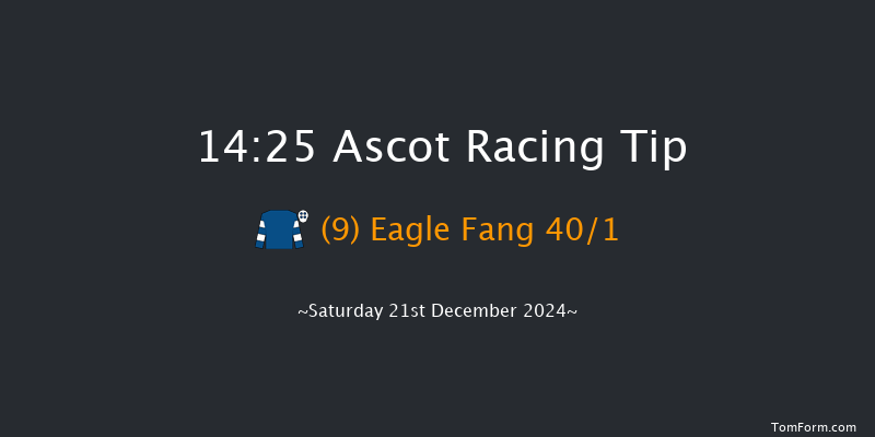 Ascot  14:25 Conditions Hurdle (Class 1) 24f Fri 20th Dec 2024