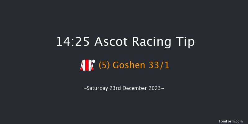 Ascot 14:25 Conditions Hurdle (Class 1) 24f Fri 22nd Dec 2023