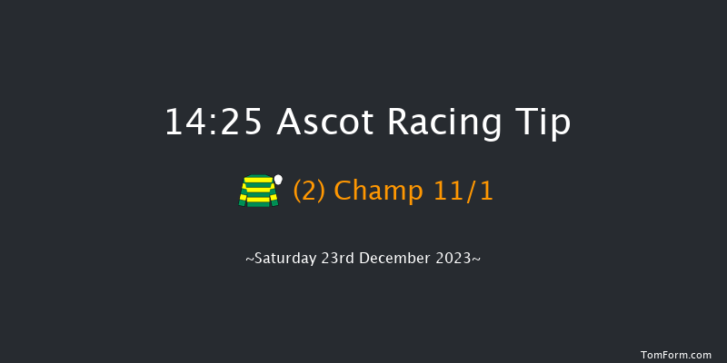 Ascot 14:25 Conditions Hurdle (Class 1) 24f Fri 22nd Dec 2023