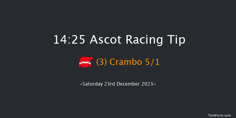 Ascot 14:25 Conditions Hurdle (Class 1) 24f Fri 22nd Dec 2023