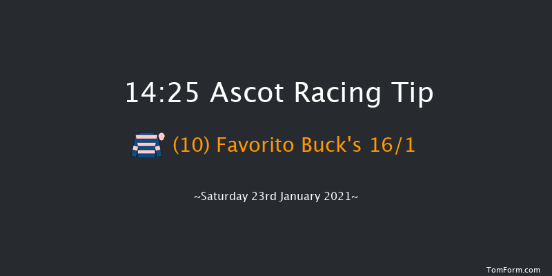 Matchbook Best Odds Handicap Chase Ascot 14:25 Handicap Chase (Class 3) 24f Sat 19th Dec 2020