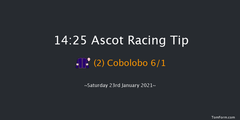 Matchbook Best Odds Handicap Chase Ascot 14:25 Handicap Chase (Class 3) 24f Sat 19th Dec 2020