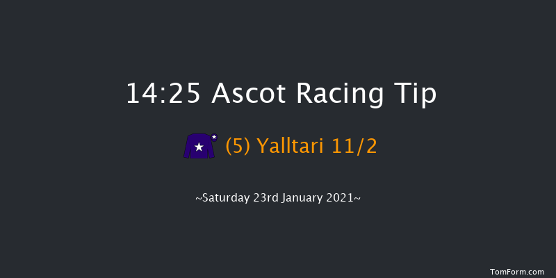 Matchbook Best Odds Handicap Chase Ascot 14:25 Handicap Chase (Class 3) 24f Sat 19th Dec 2020