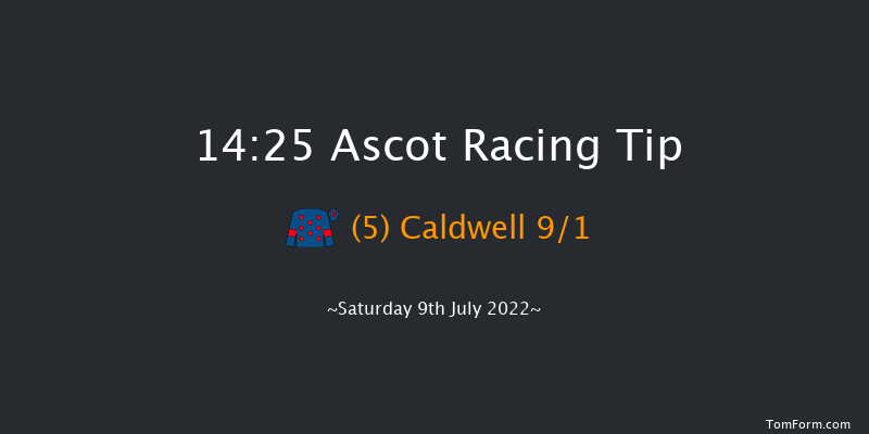 Ascot 14:25 Handicap (Class 3) 14f Fri 8th Jul 2022