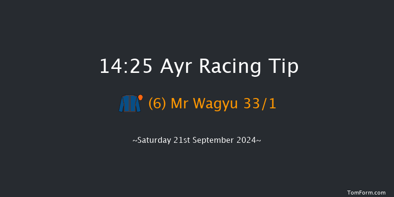 Ayr  14:25 Handicap (Class 2) 6f  Fri 20th Sep 2024