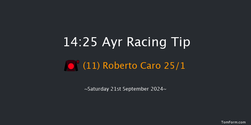 Ayr  14:25 Handicap (Class 2) 6f  Fri 20th Sep 2024