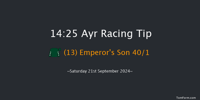 Ayr  14:25 Handicap (Class 2) 6f  Fri 20th Sep 2024