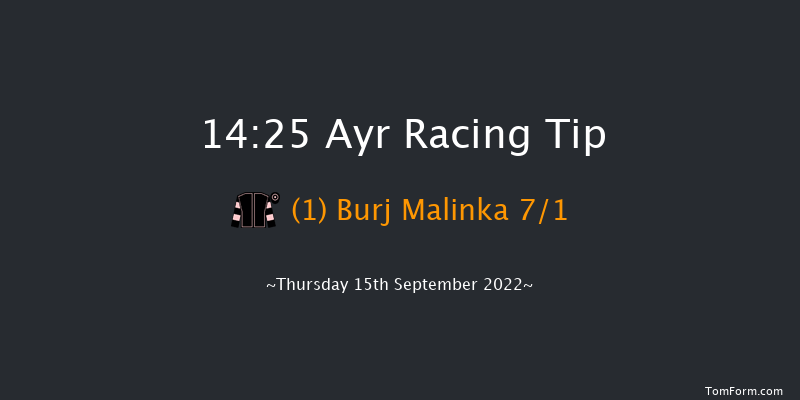 Ayr 14:25 Handicap (Class 5) 5f Sat 6th Aug 2022