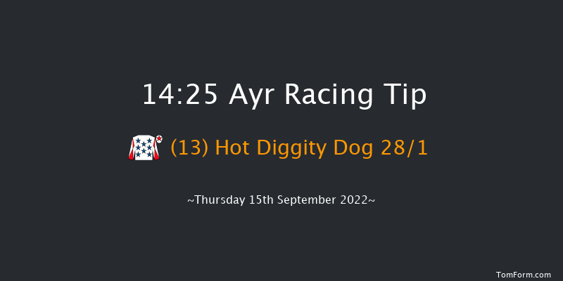 Ayr 14:25 Handicap (Class 5) 5f Sat 6th Aug 2022