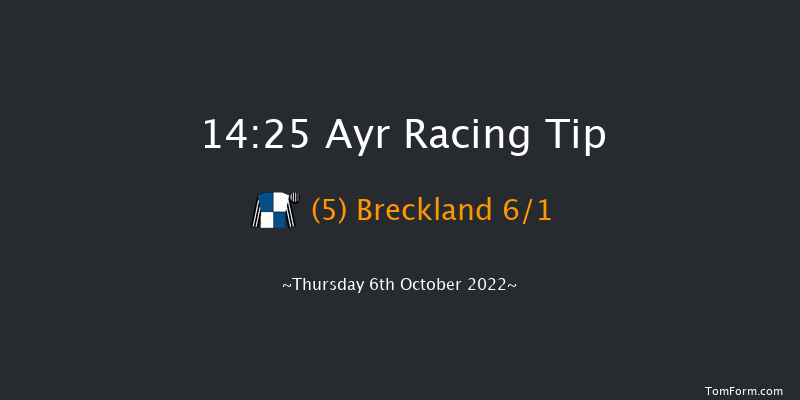 Ayr 14:25 Handicap (Class 6) 8f Tue 27th Sep 2022