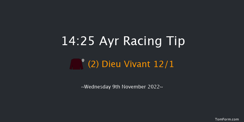 Ayr 14:25 Handicap Chase (Class 3) 24f Sat 29th Oct 2022