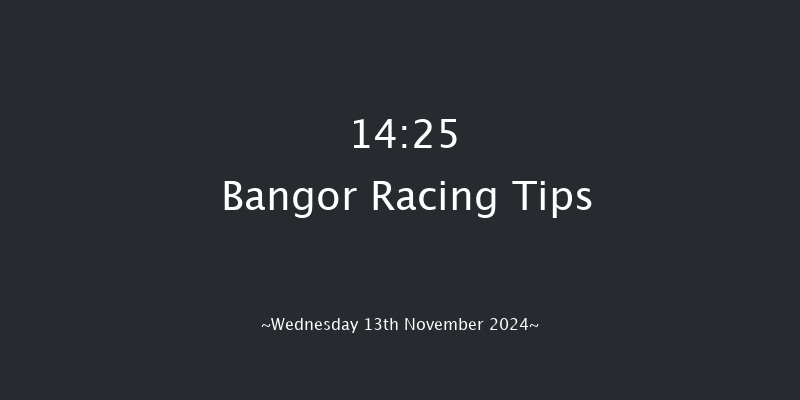 Bangor-on-dee  14:25 Maiden Hurdle (Class 4)
17f Tue 29th Oct 2024