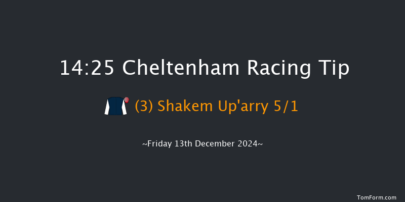 Cheltenham  14:25 Handicap Chase (Class 2) 21f Sun 17th Nov 2024