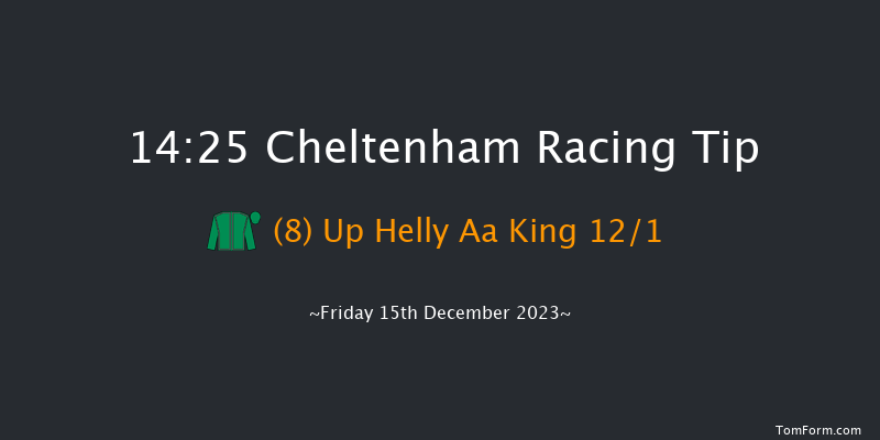 Cheltenham 14:25 Handicap Chase (Class 2) 21f Sun 19th Nov 2023