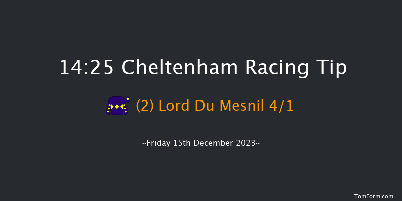 Cheltenham 14:25 Handicap Chase (Class 2) 21f Sun 19th Nov 2023