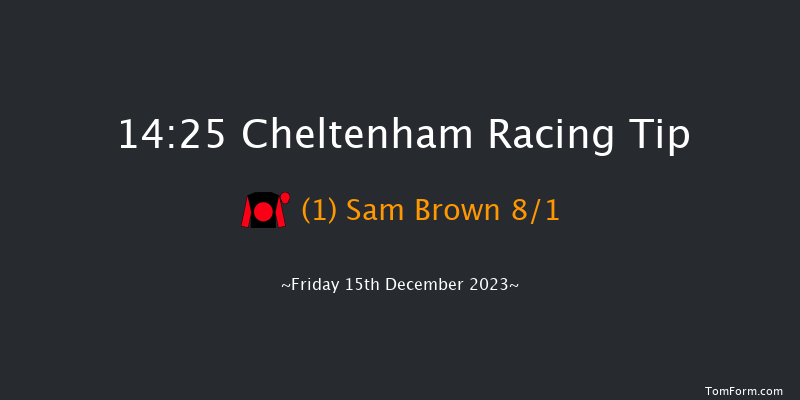 Cheltenham 14:25 Handicap Chase (Class 2) 21f Sun 19th Nov 2023