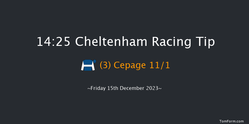 Cheltenham 14:25 Handicap Chase (Class 2) 21f Sun 19th Nov 2023