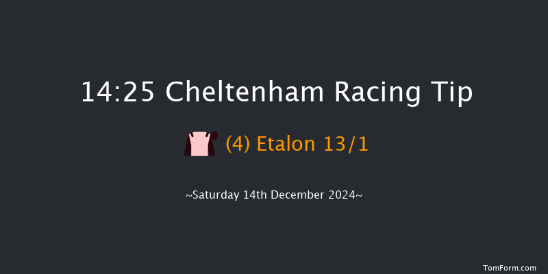 Cheltenham  14:25 Handicap Chase (Class 2) 16f Fri 13th Dec 2024