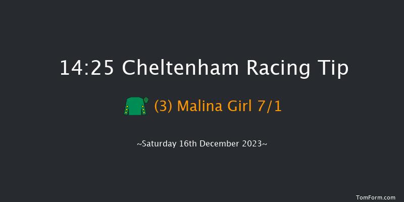 Cheltenham 14:25 Handicap Chase (Class 1) 26f Fri 15th Dec 2023