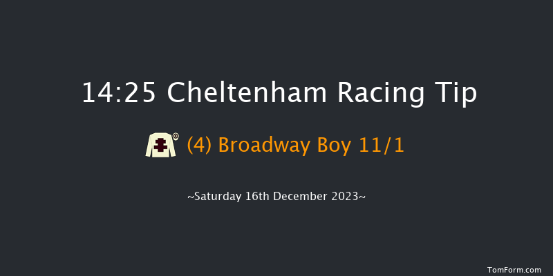 Cheltenham 14:25 Handicap Chase (Class 1) 26f Fri 15th Dec 2023