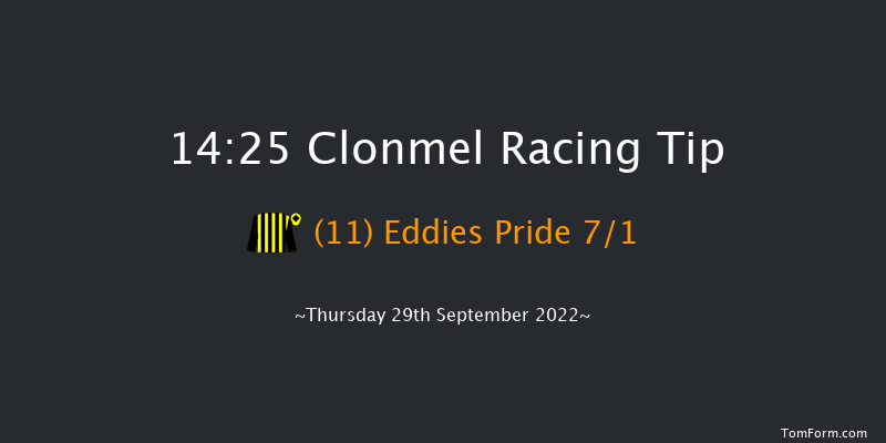 Clonmel 14:25 Handicap Hurdle 20f Thu 1st Sep 2022