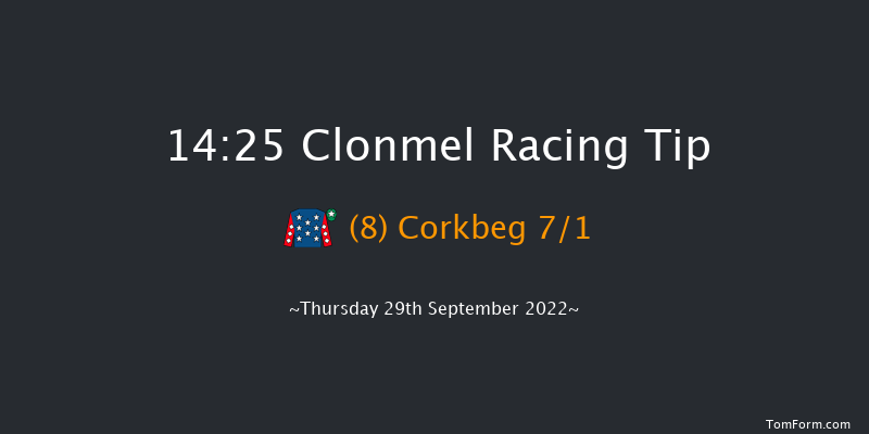 Clonmel 14:25 Handicap Hurdle 20f Thu 1st Sep 2022