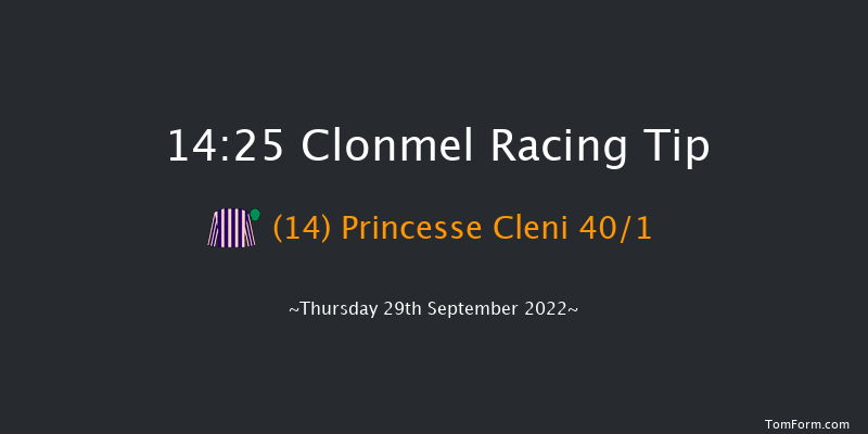 Clonmel 14:25 Handicap Hurdle 20f Thu 1st Sep 2022