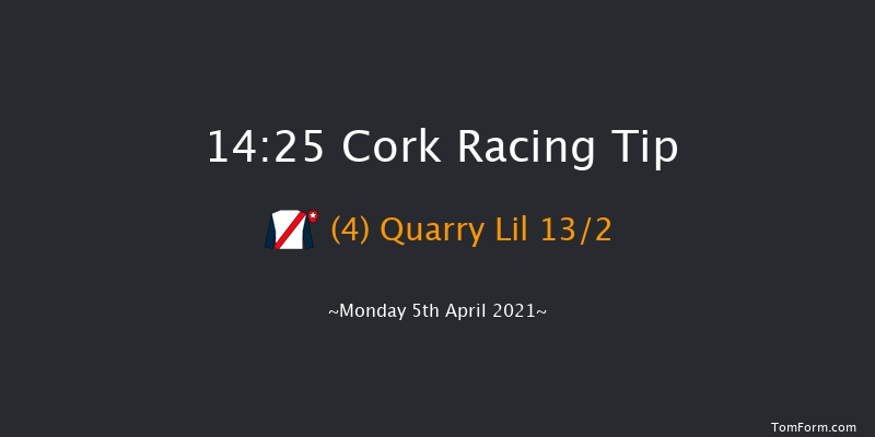 Thanks To The Frontline Workers Handicap Hurdle Cork 14:25 Handicap Hurdle 16f Sun 4th Apr 2021