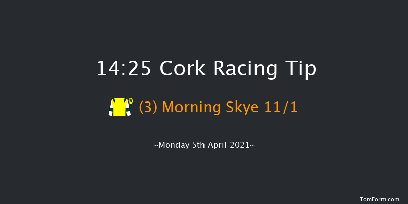 Thanks To The Frontline Workers Handicap Hurdle Cork 14:25 Handicap Hurdle 16f Sun 4th Apr 2021