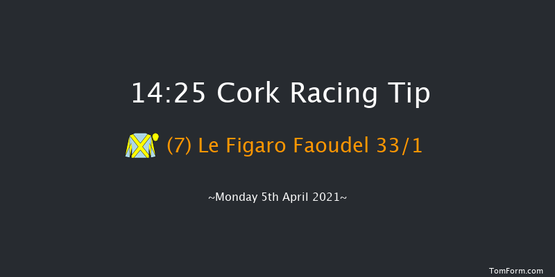 Thanks To The Frontline Workers Handicap Hurdle Cork 14:25 Handicap Hurdle 16f Sun 4th Apr 2021