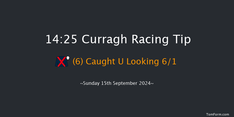 Curragh  14:25 Group 2 10f Sat 31st Aug 2024