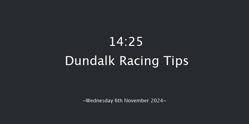 Dundalk  14:25 Handicap 6f Fri 1st Nov 2024