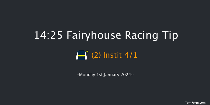 Fairyhouse 14:25 Conditions Chase 21f Sat 16th Dec 2023