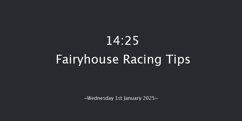 Fairyhouse  14:25 Conditions Chase 22f Sat 14th Dec 2024