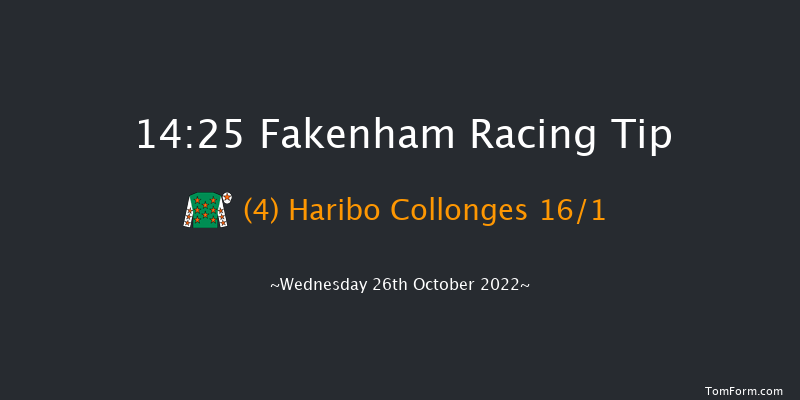 Fakenham 14:25 Maiden Hurdle (Class 4) 16f Fri 14th Oct 2022