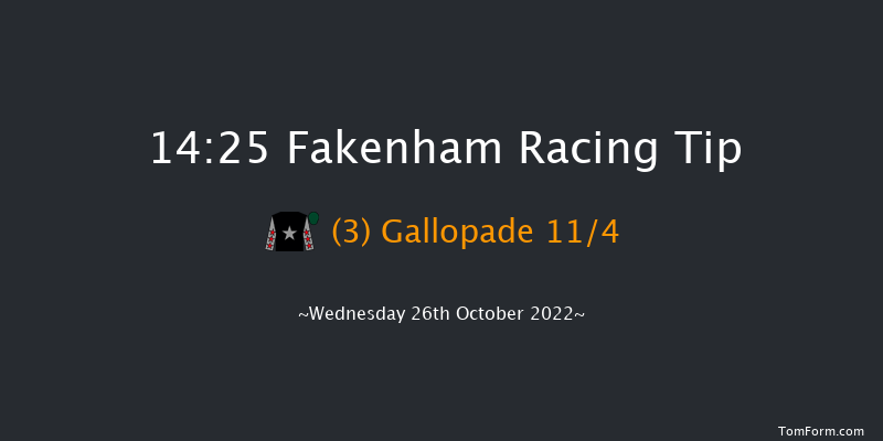 Fakenham 14:25 Maiden Hurdle (Class 4) 16f Fri 14th Oct 2022