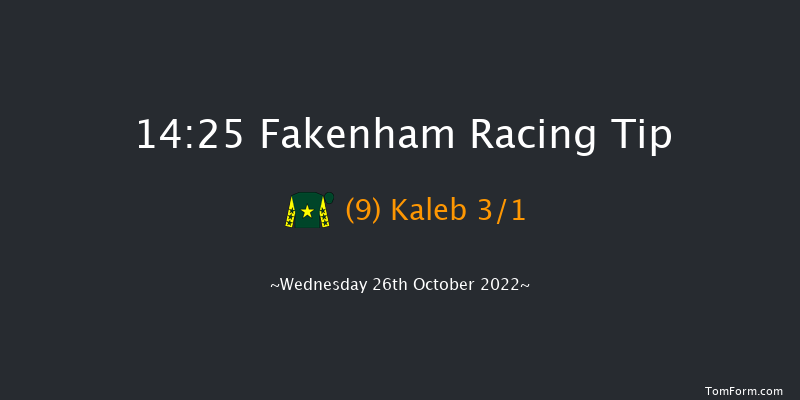 Fakenham 14:25 Maiden Hurdle (Class 4) 16f Fri 14th Oct 2022