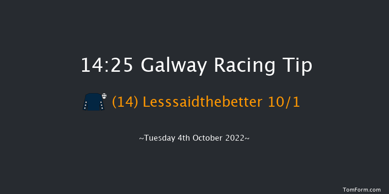 Galway 14:25 Handicap Hurdle 19f Tue 6th Sep 2022