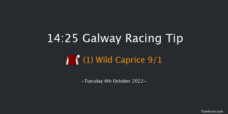 Galway 14:25 Handicap Hurdle 19f Tue 6th Sep 2022