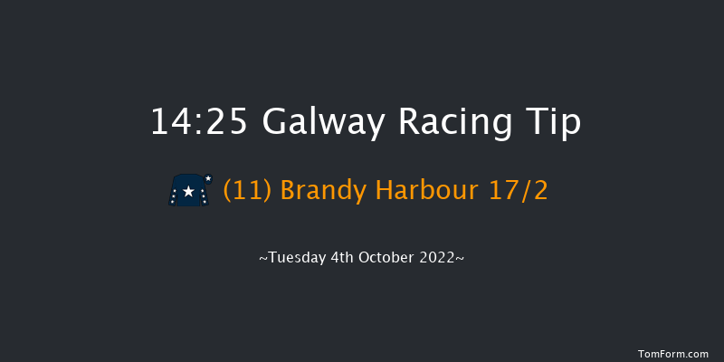 Galway 14:25 Handicap Hurdle 19f Tue 6th Sep 2022