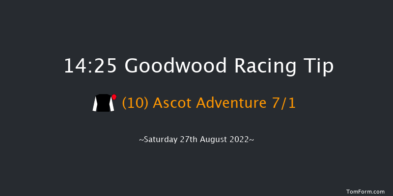 Goodwood 14:25 Handicap (Class 2) 7f Fri 26th Aug 2022