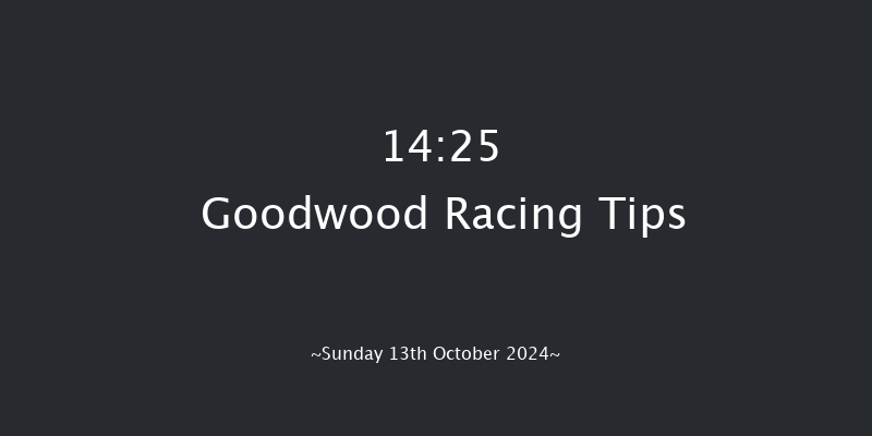 Goodwood  14:25 Stakes (Class 4) 6f  Wed 25th Sep 2024