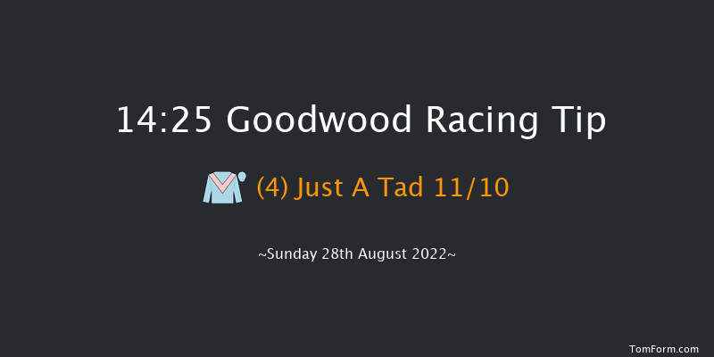 Goodwood 14:25 Seller (Class 3) 11f Sat 27th Aug 2022