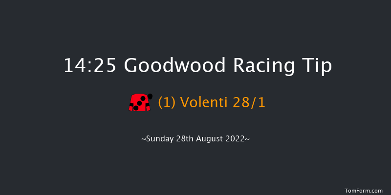 Goodwood 14:25 Seller (Class 3) 11f Sat 27th Aug 2022