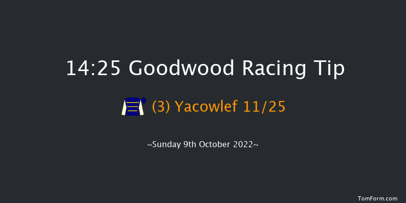 Goodwood 14:25 Stakes (Class 4) 6f Wed 21st Sep 2022