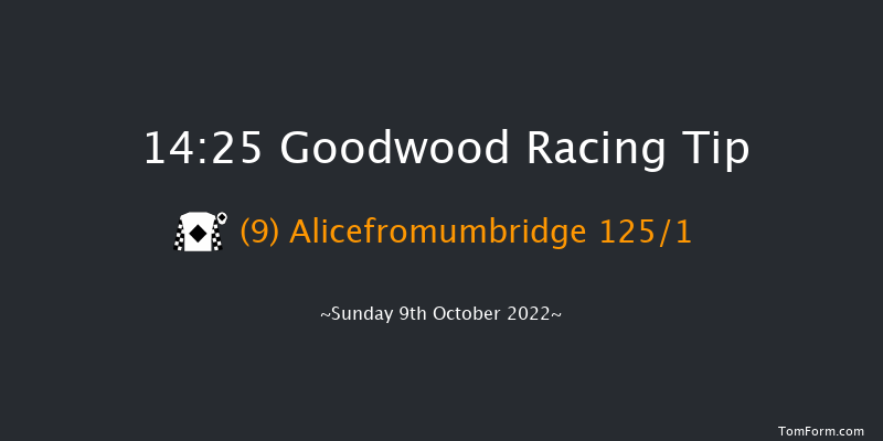 Goodwood 14:25 Stakes (Class 4) 6f Wed 21st Sep 2022